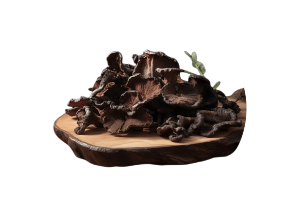 unnamed__6_-removebg-preview